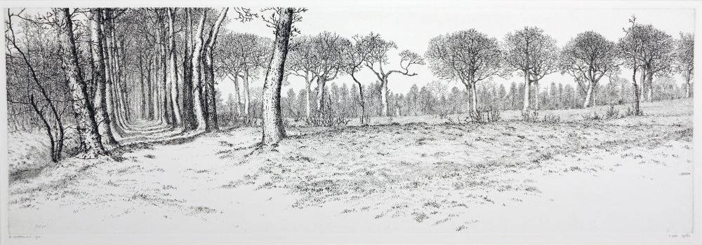 Eikenlaan Fogelsanghstate Veenklooster.