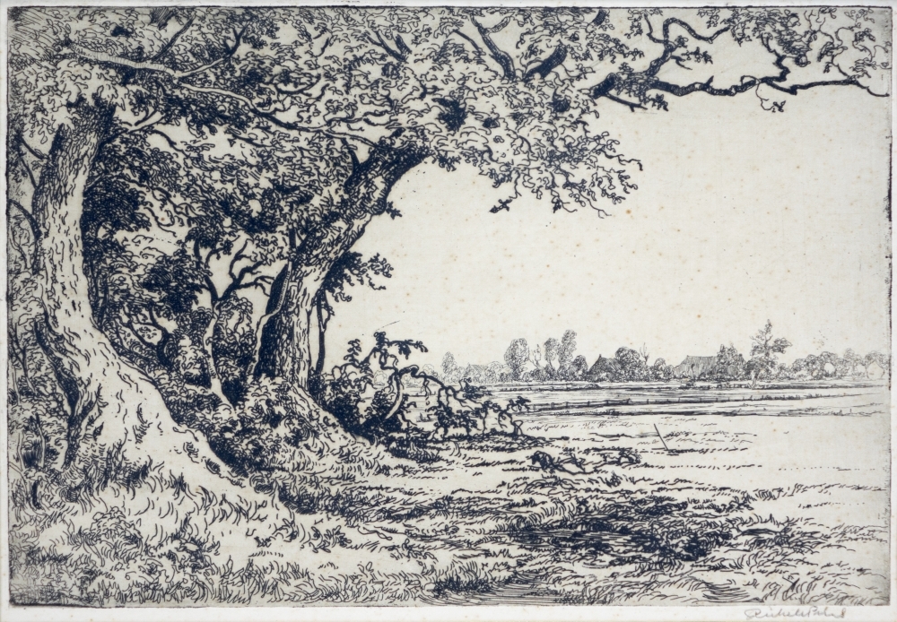 Landschap met eikebomen bij Lieveren.