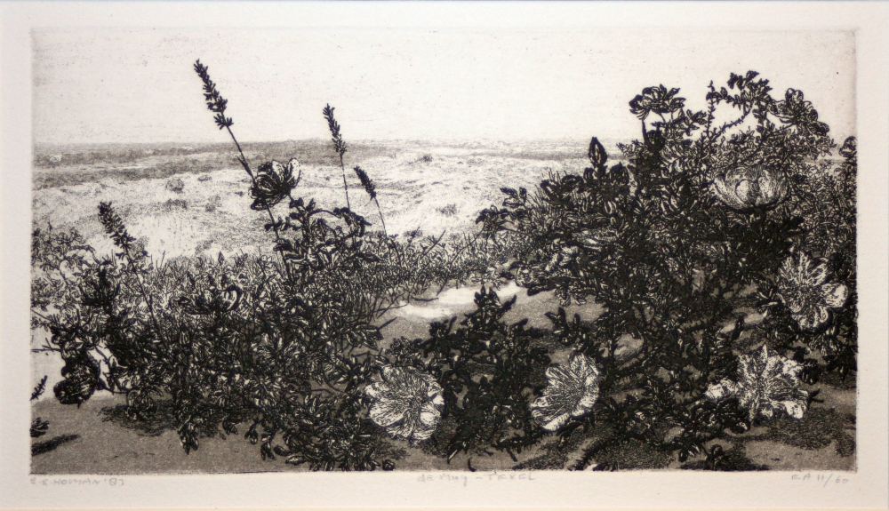 De Slufter Muy, Texel