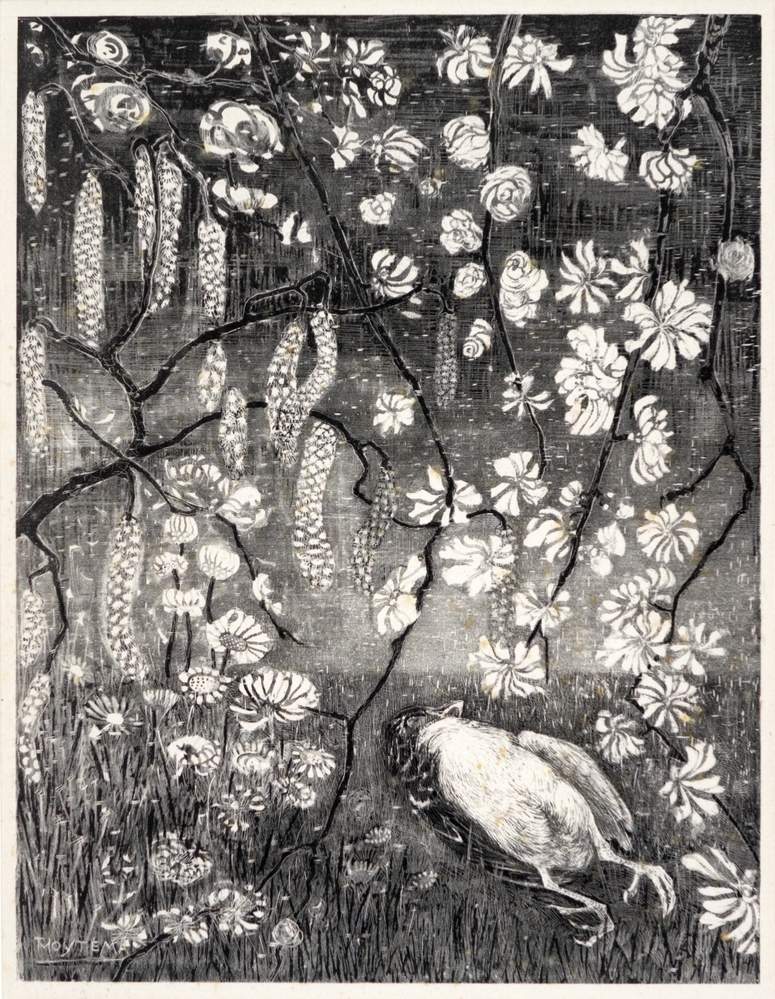 Dode vogel onder hazelaar- en kamperfoelietakken