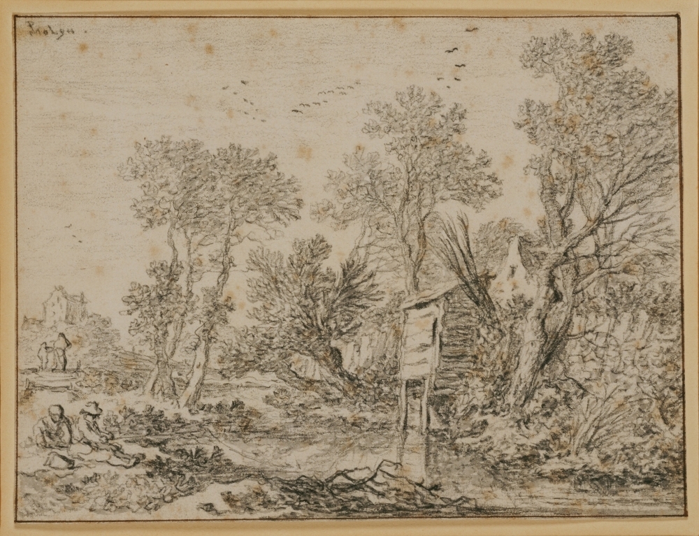 Bomen aan de waterkant.