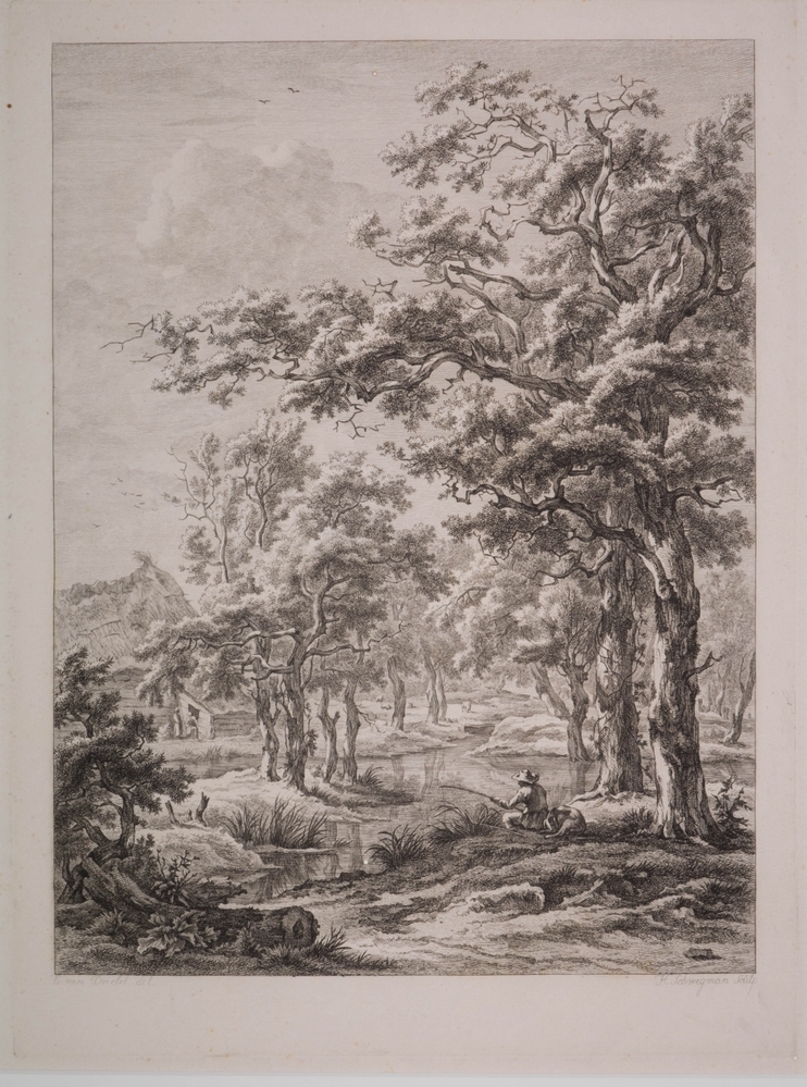 Landschap in Drenthe.