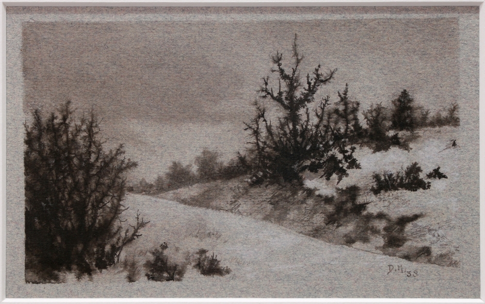 Landschap met struikgewas / zandverstuiving.