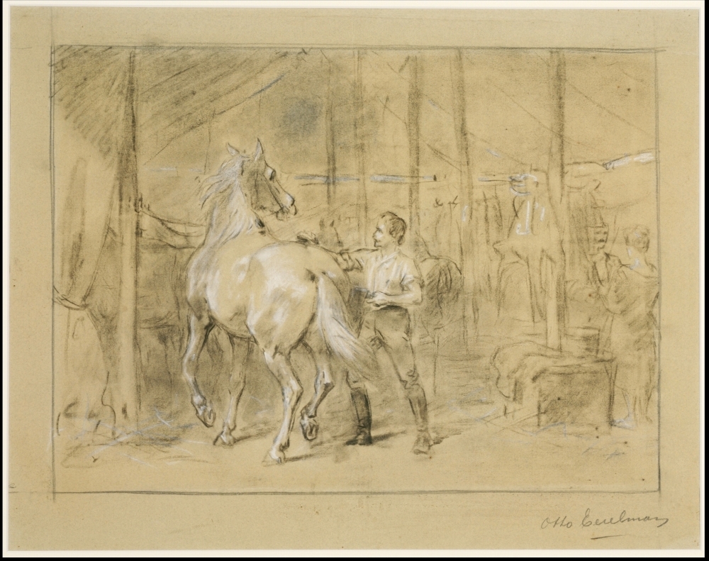 Circusstal met schimmel.