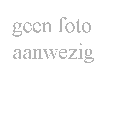 Statieportret van Koning Willem-Alexander