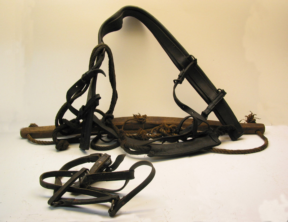 Jaagpaardentuig met knuppel