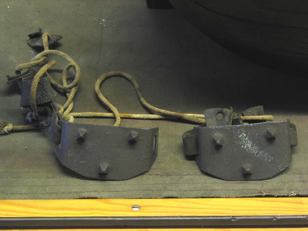 Vlotspoor of modderspoor