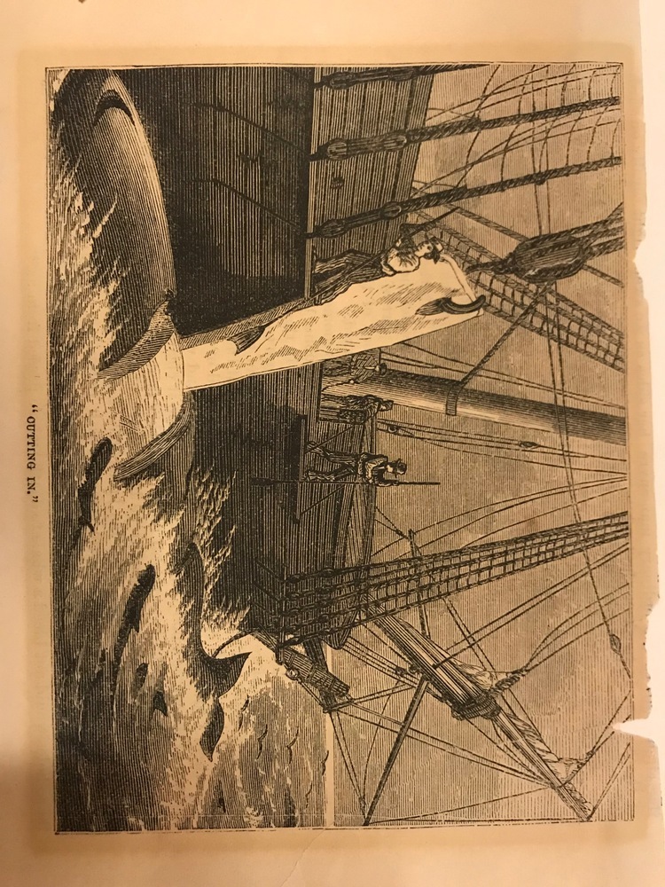 "Cutting In", litho.