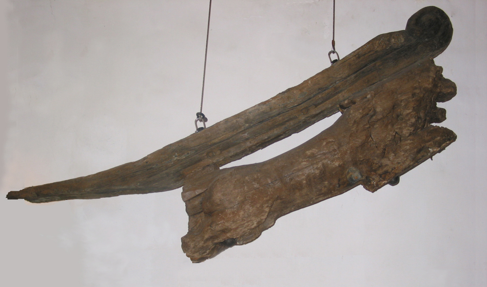 Schegbeeld voorstellend een leeuw