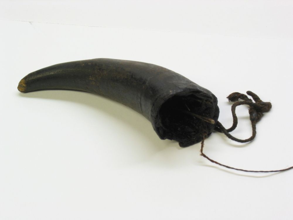 Vethoorn met enkele zeilmakersnaalden