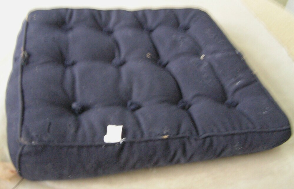 kussen, rijtuigkussen