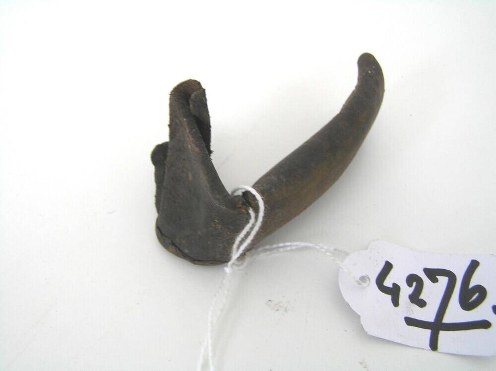 riempje, zweephouder, zweepkoker