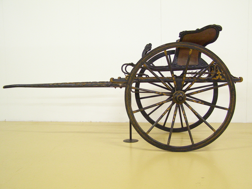 sjees, westfriese bokkesjees, friese bokkesjees