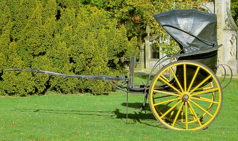 rijtuig, buggy, Oldambter buggy