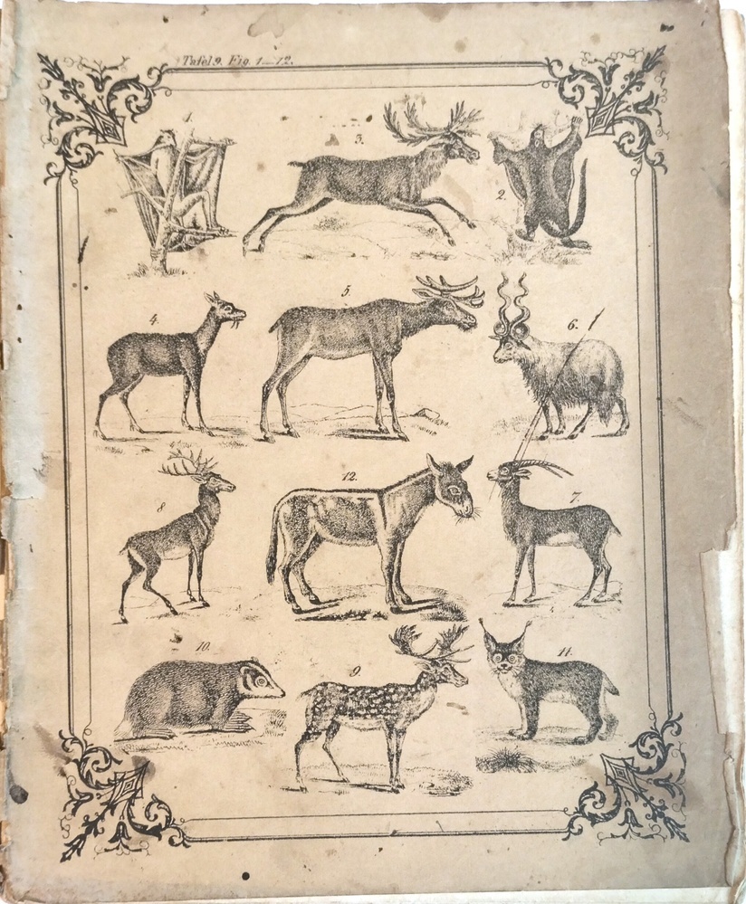 Schrift van Martha Allegonda de Vries