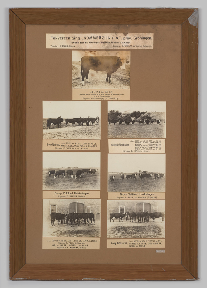 Een aantal foto's, samen ingelijst en achter glas, met afbeeldingen van, en informatie over, Fokvereniging Kommerzijl e.o.