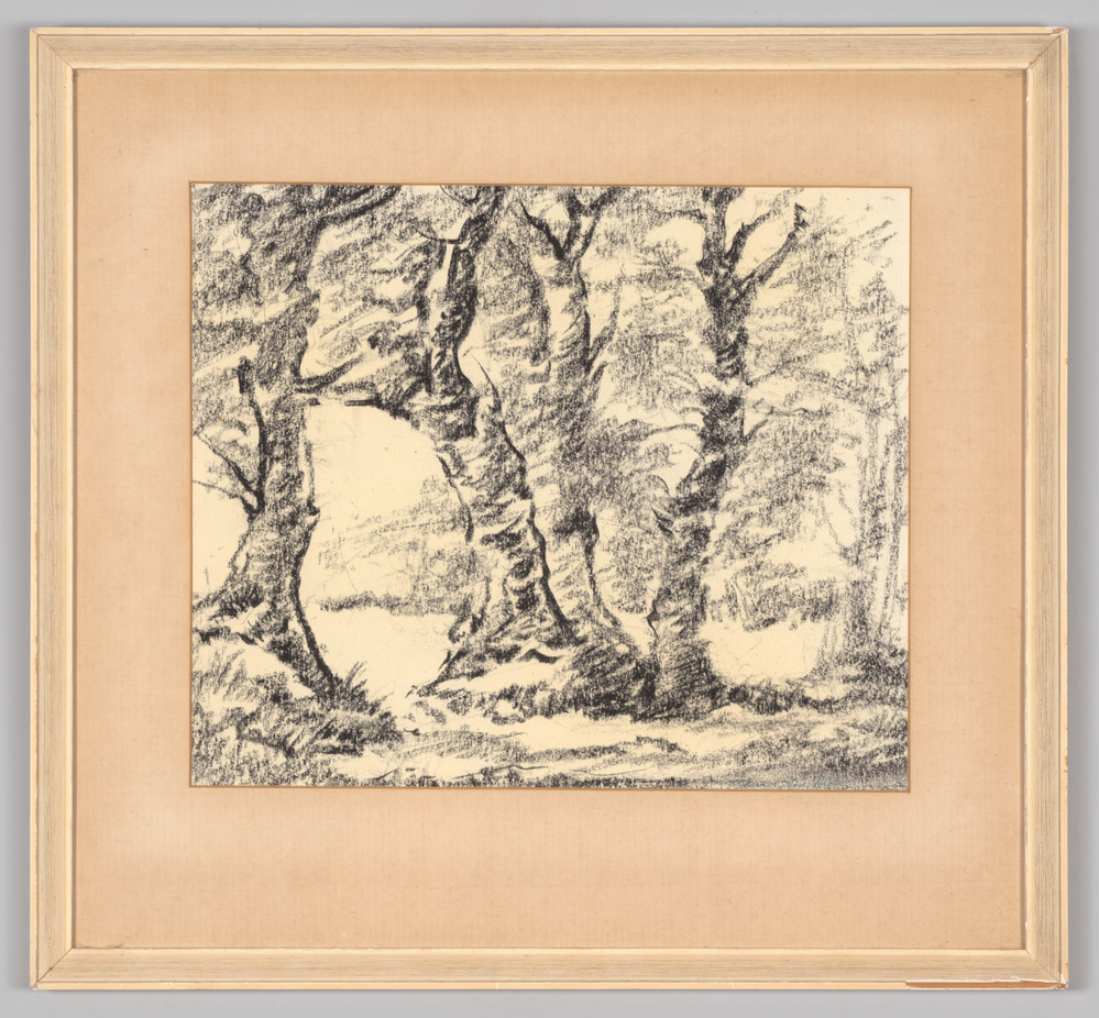 Ingelijste houtskooltekening van bomen, ingelijst, achter glas