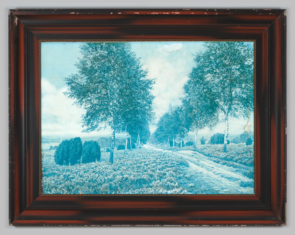 Reproductie, ingelijst, achter glas, voorstellende heideveld met berken