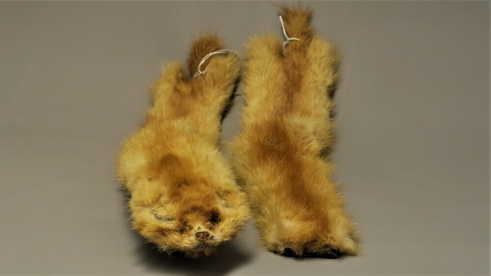 Vossensjaal in twee delen