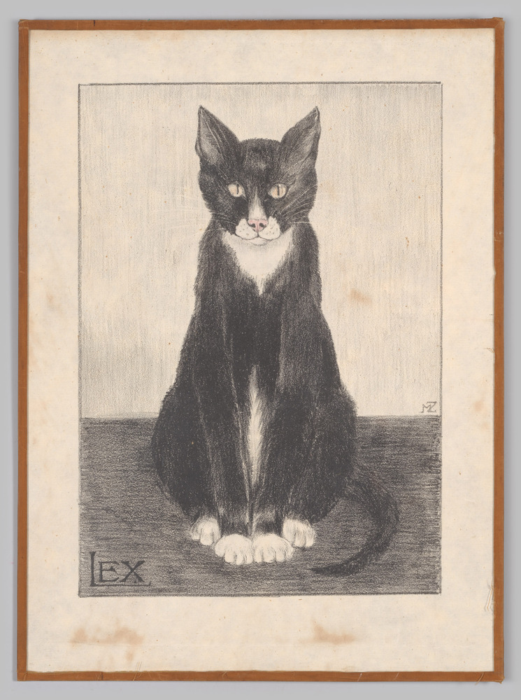 Potloodtekening, voorstellende een kat, ingelijst, achter glas