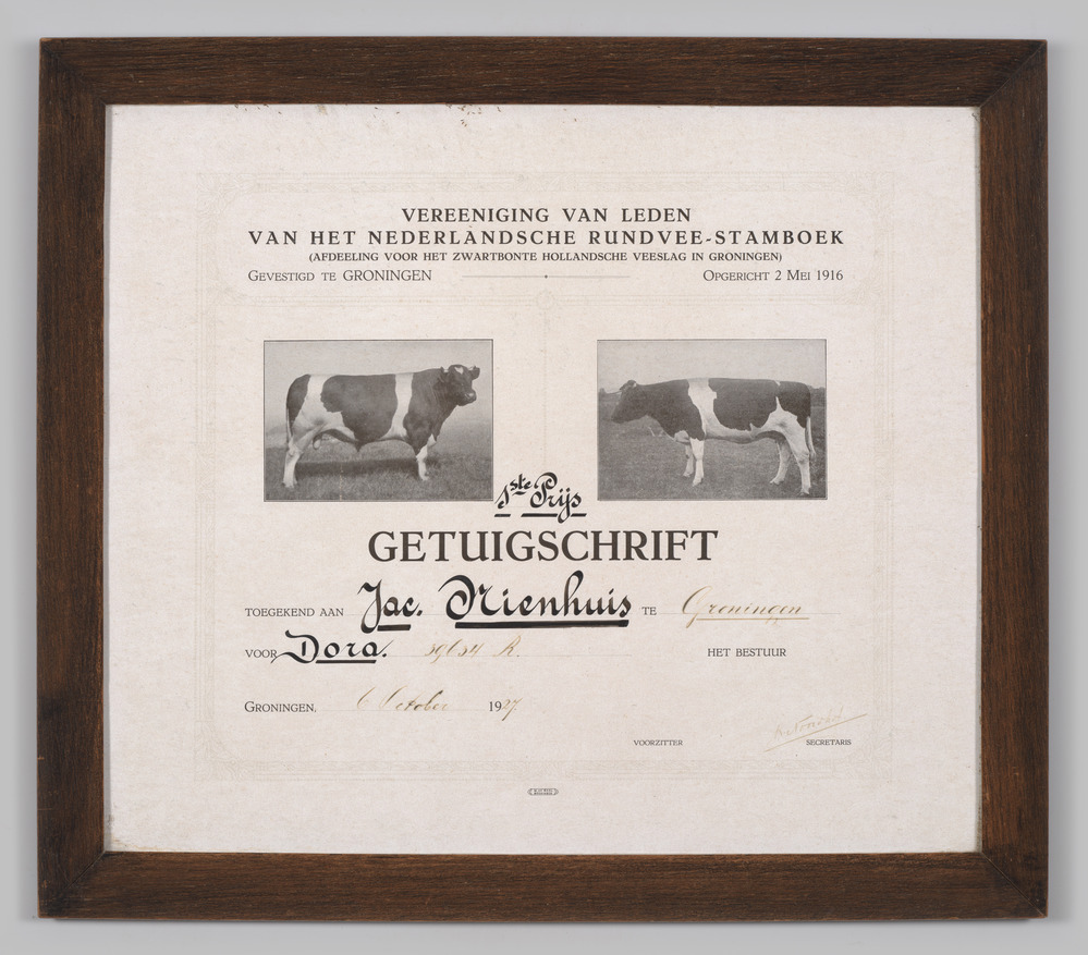 getuigschrift in lijst: Dora 1e prijs