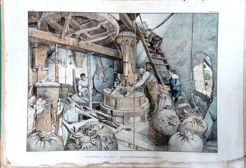 Schoolplaat van korrels tot meel