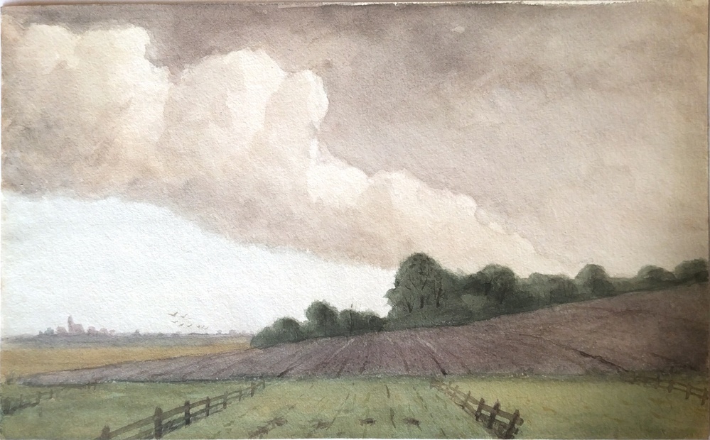 Aquarel voorstellende weiland te Rasquert/Baflo
