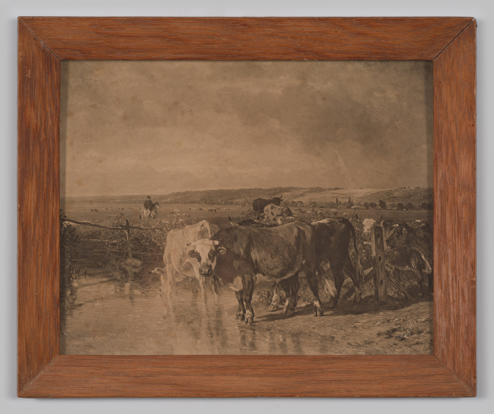 Zwart-wit reproductie van een afbeelding van landschap met vee, ingelijst, achter glas