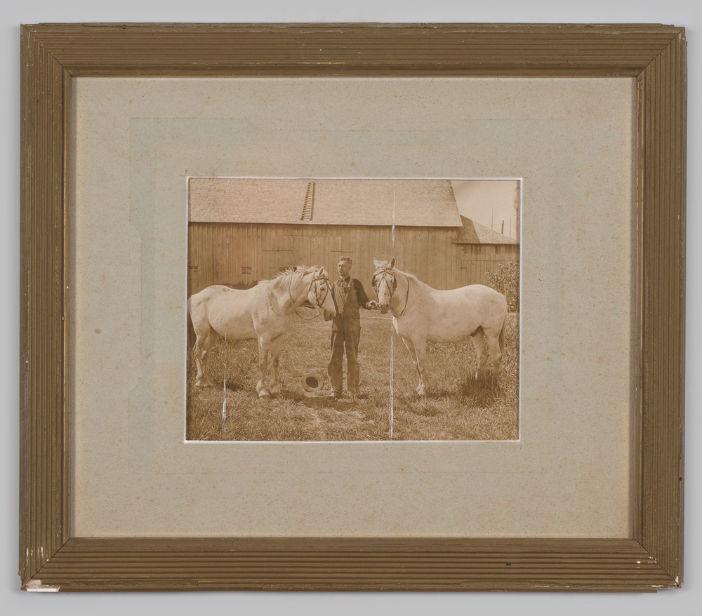 Zwart wit foto van een man met twee witte paarden