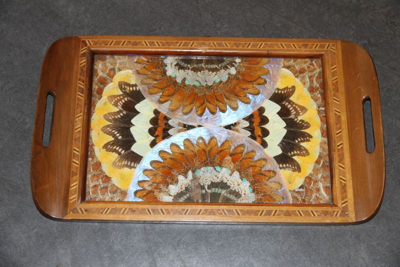 dienblad met collage van cirkelvormige vlindervleugels