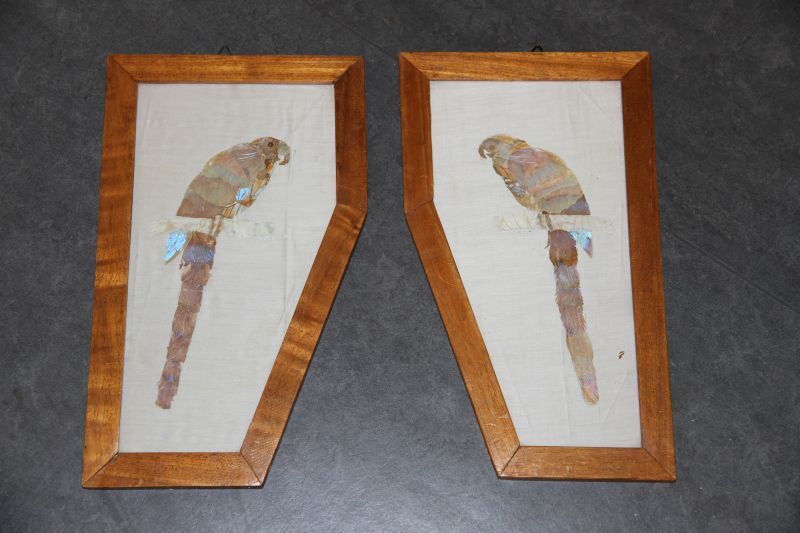 2 collages die elkaars pendanten zijn voorstellende een papegaai, gemaakt van vlindervleugels