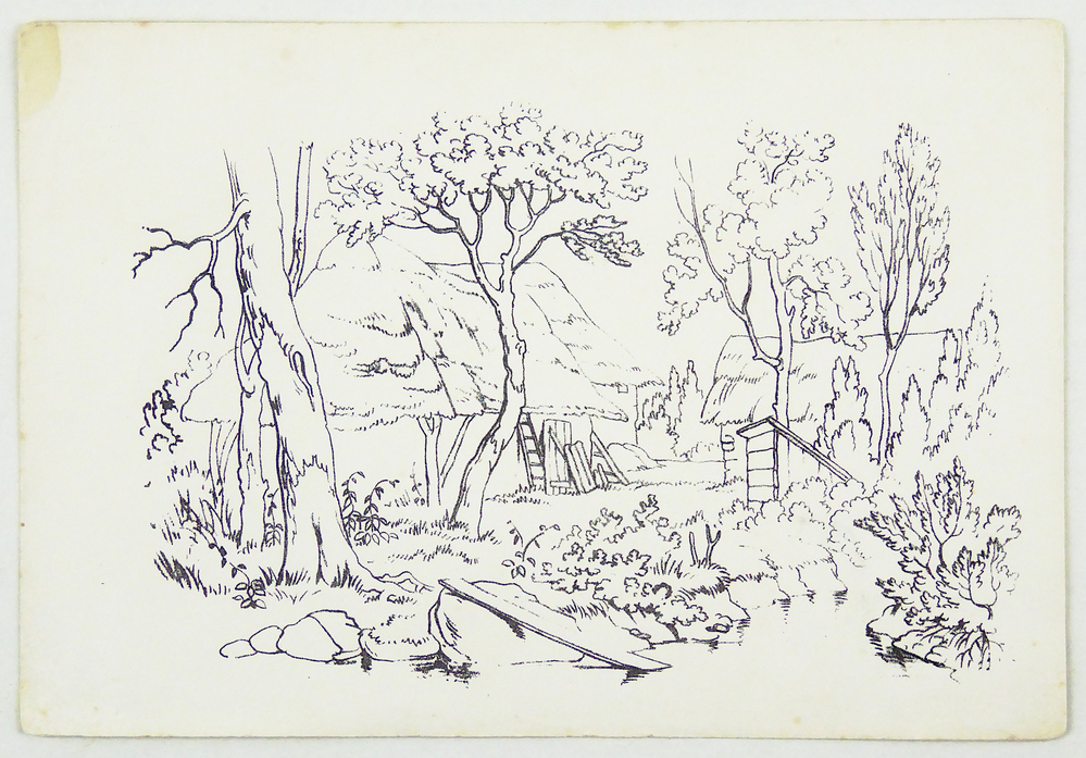 schuurtjes in het bos met beekje en plank