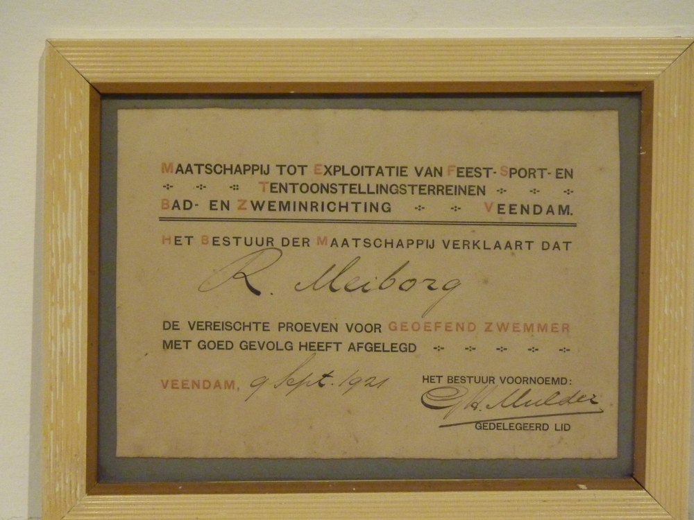 R Meiborg zwemcertificaat