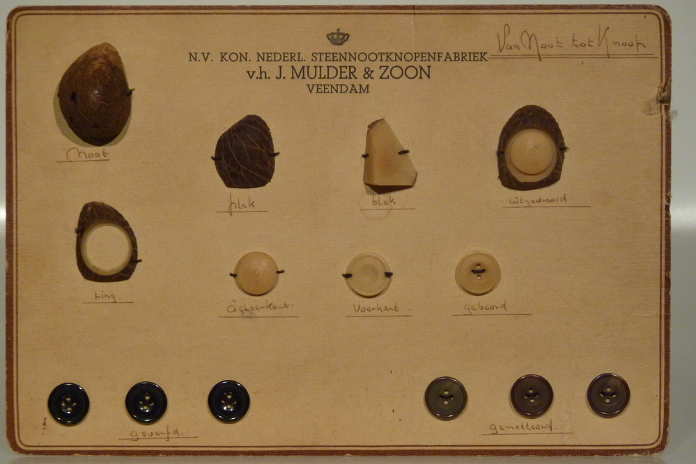 kartonnen monsterkaart van steennootknopenfabriek Mulder met daarop de verschillende stadia van steennoot tot uiteindelijk een steennootknoop