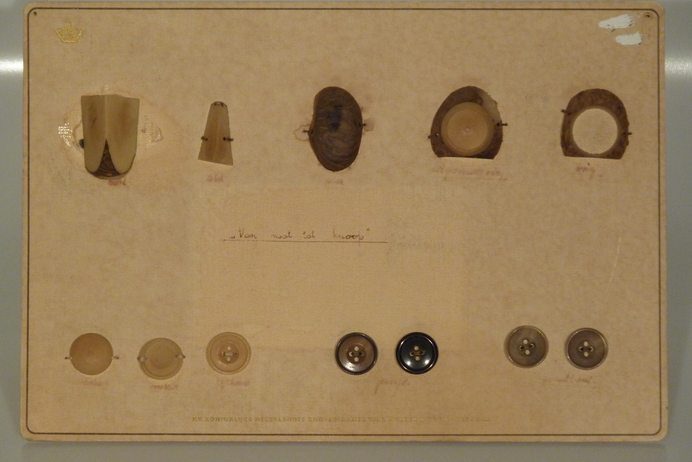 kartonnen monsterkaart van steennootknopenfabriek Mulder met daarop de verschillende stadia van steennoot tot uiteindelijk een steennootknoop