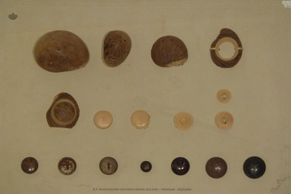 kartonnen monsterkaart van steennootknopenfabriek Mulder met daarop de verschillende stadia van steennoot tot uiteindelijk een steennootknoop