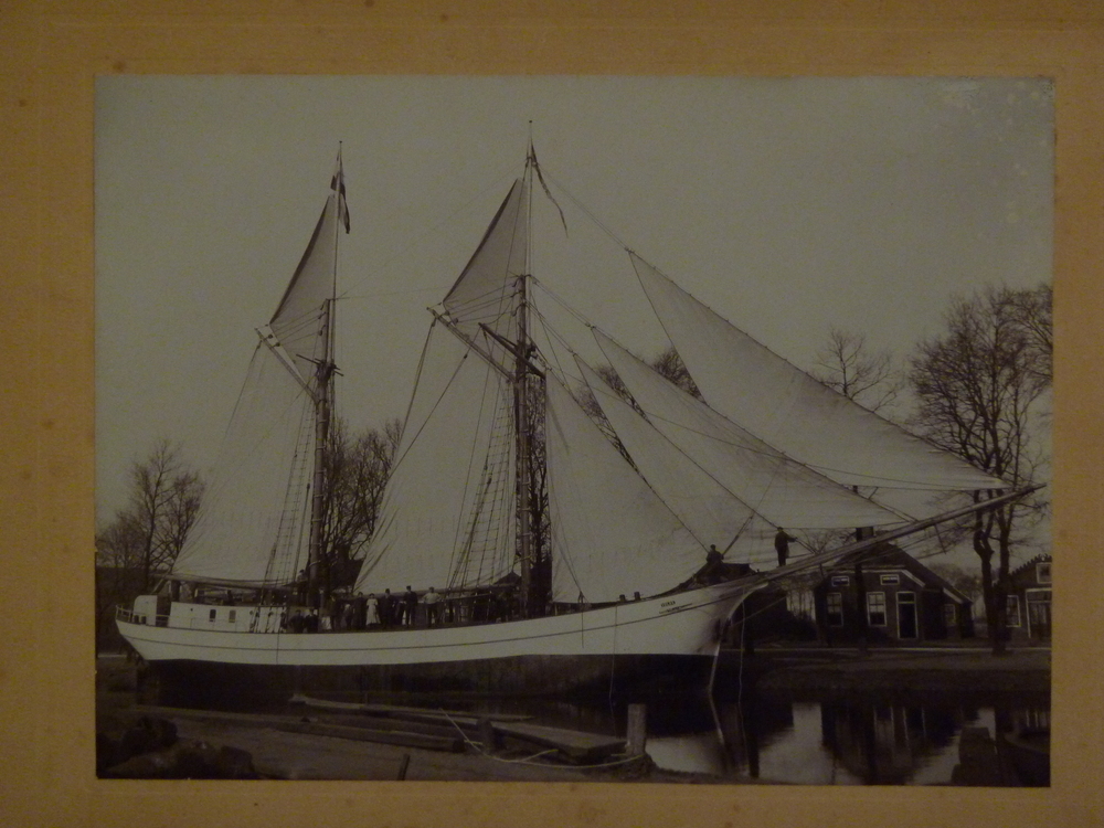 Velox geb bij Ten Horn opget. bij van Jac Smit Sappemeer