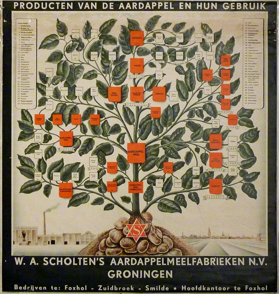 papieren wandplaat boven en onderin donkergroen vlak, linksonderin afbeelding fabriek W.A.Scholten te Foxhol, rechtsonderin afbeelding landschap met molen en op achtergrond stad met toren, in het midden een aardappelplant met daarin alle produkten die er van worden gemaakt, als een soort stamboom, bovenin witte inscriptie : producten van de aardappel en hun gebruik, onderkant witte inscriptie : W.A.Scholten's Aardappelmeelfabrieken NV Groningen. Bedrijven te Foxhol, Zuidbroek, Smilde Hoofdkantoor te Foxhol.