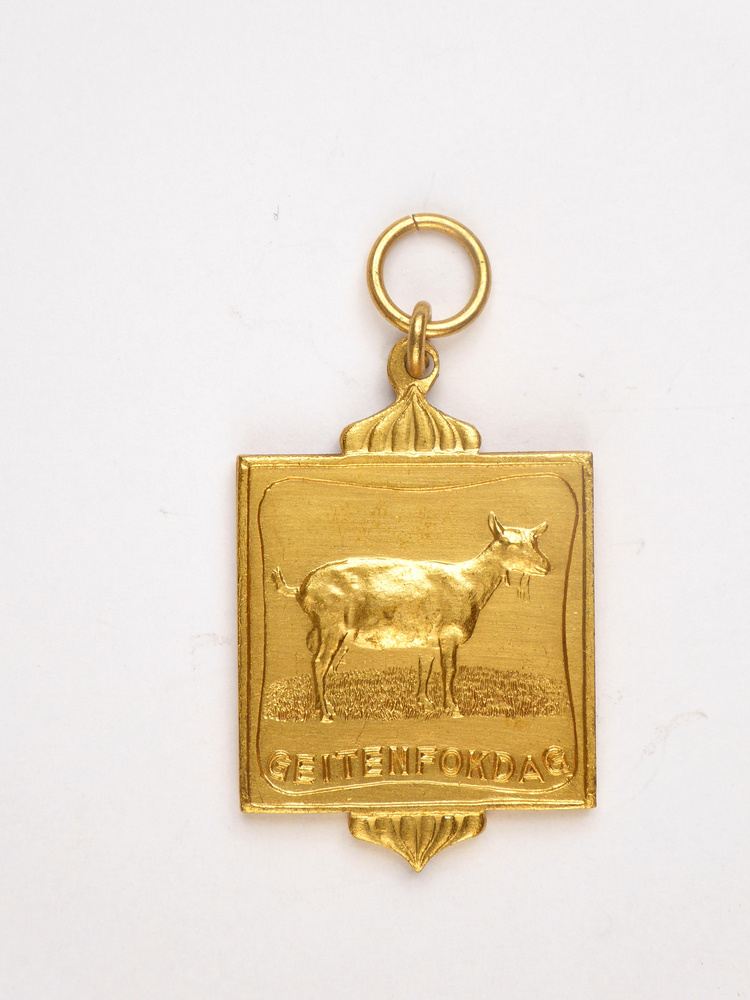 rechthoekige goudkleurige medaille met op voorkant afbeelding van een geit en inscriptie geitenfokdag, op achterkant inscriptie Meeden 60 1 B S 104 H Dijkstra
