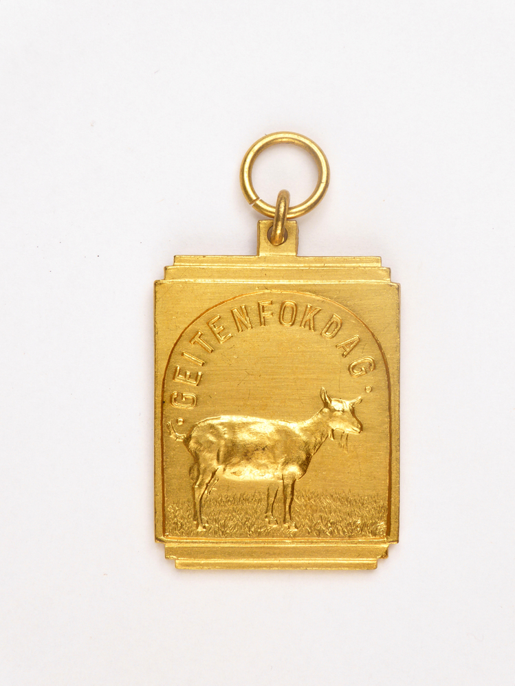rechthoekige goudkleurige medaille met op voorkant afbeelding van een geit en inscriptie geitenfokdag, op achterkant inscriptie Meeden 60 1 C S 80 H Dijkstra