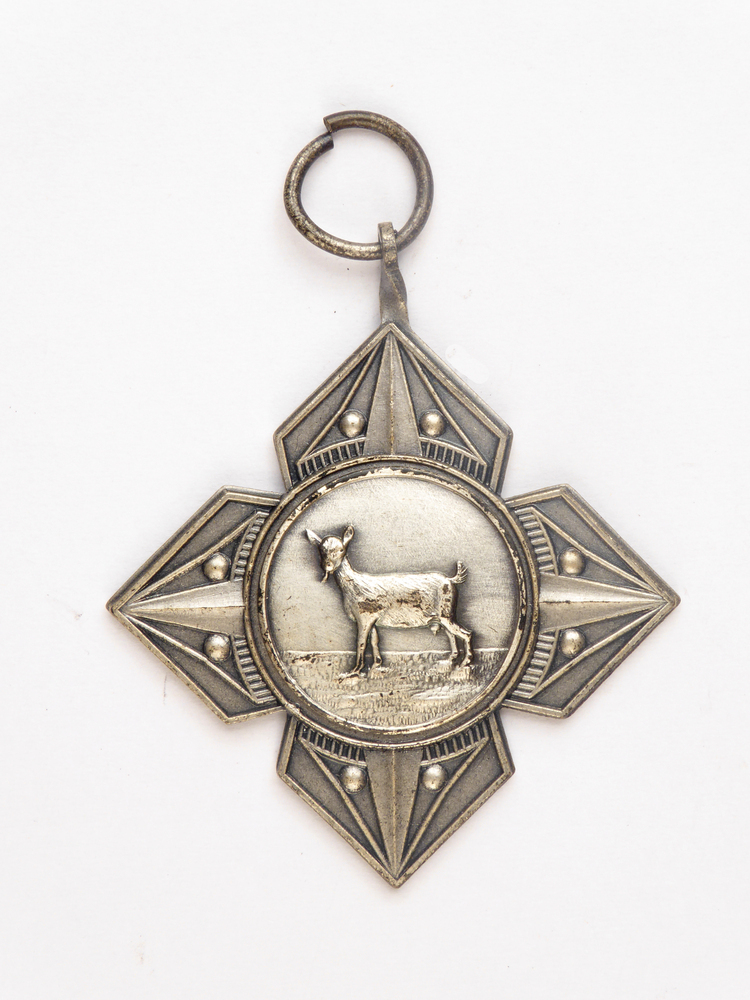stervormige zilveren medaille met op voorkant afbeelding van een geit en op achterkant inscriptie Fokveedag Slochteren 1966 2 a pr Melkgeiten 3 j en o