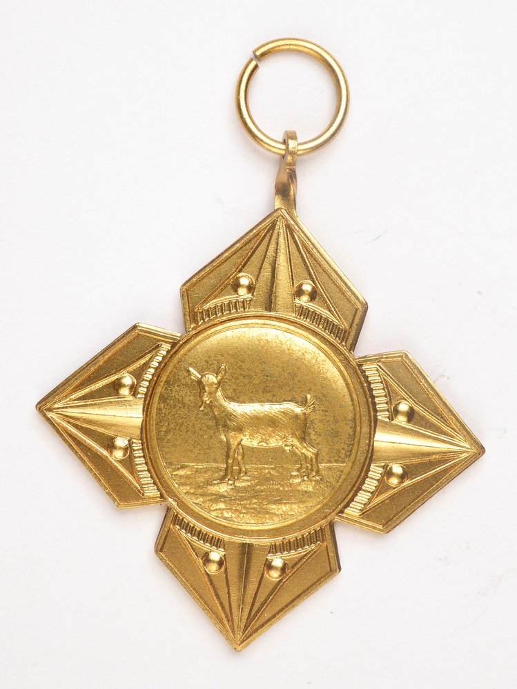 sterstervormige goudkleurige medaille met op voorkant afbeelding van een geit en op achterkant inscriptie Fokveedag Slochteren 1966 1 C pr Melkgeiten 3 j en o