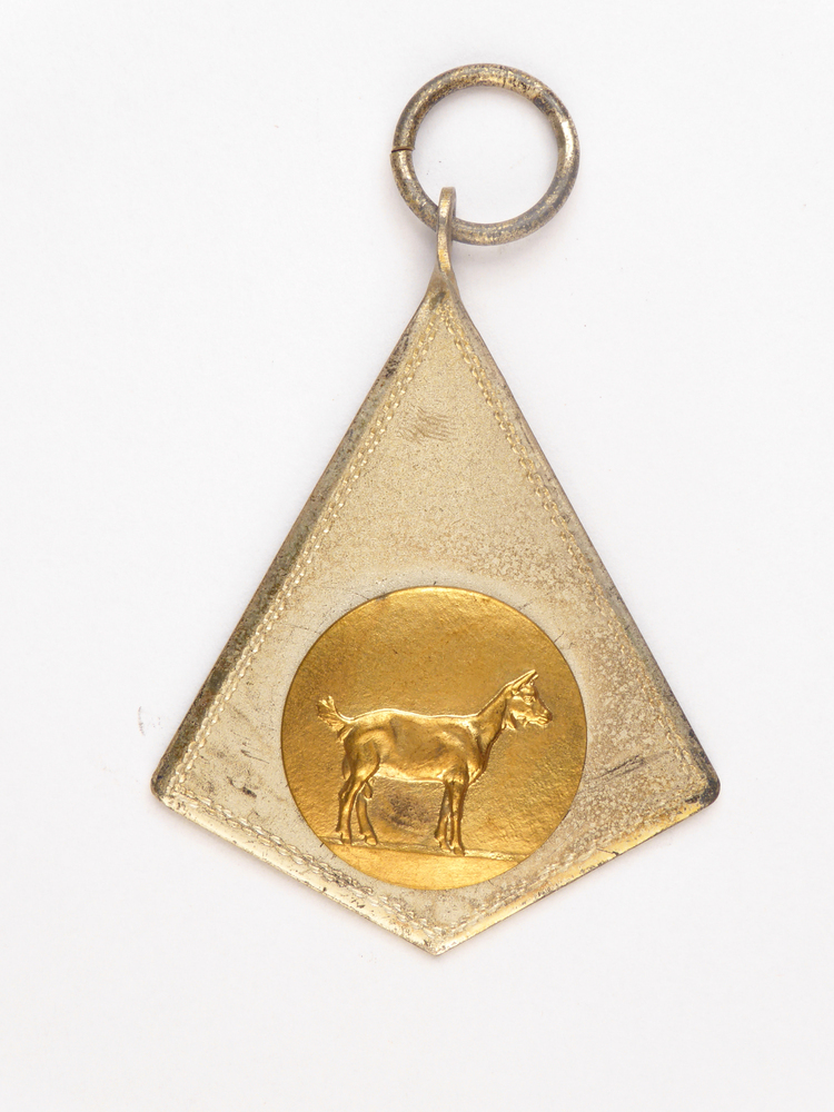 zilverkleurige vliegervormige medaille met goudkleurig middencirkel met afbeelding van een geit en op achterkant inscriptie 3 A pr 5419