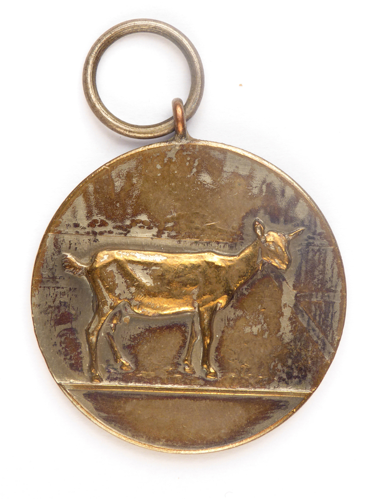 ronde koperkleurige medaille met op voorkant de afbeelding van een geit en op achterkant inscriptie 1e pr A A 720