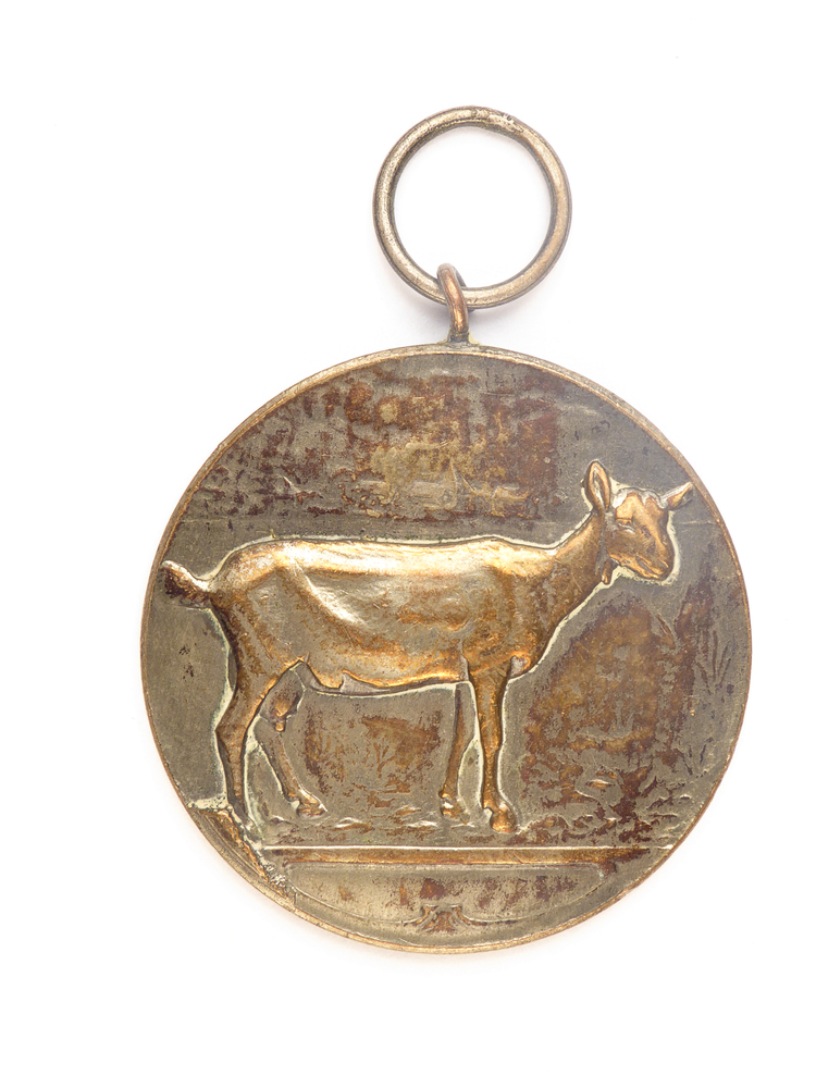 zilveren ronde mdaille met op voorkant afbeelding van een geit en op achterkant inscriptie kampioen 48 A 720