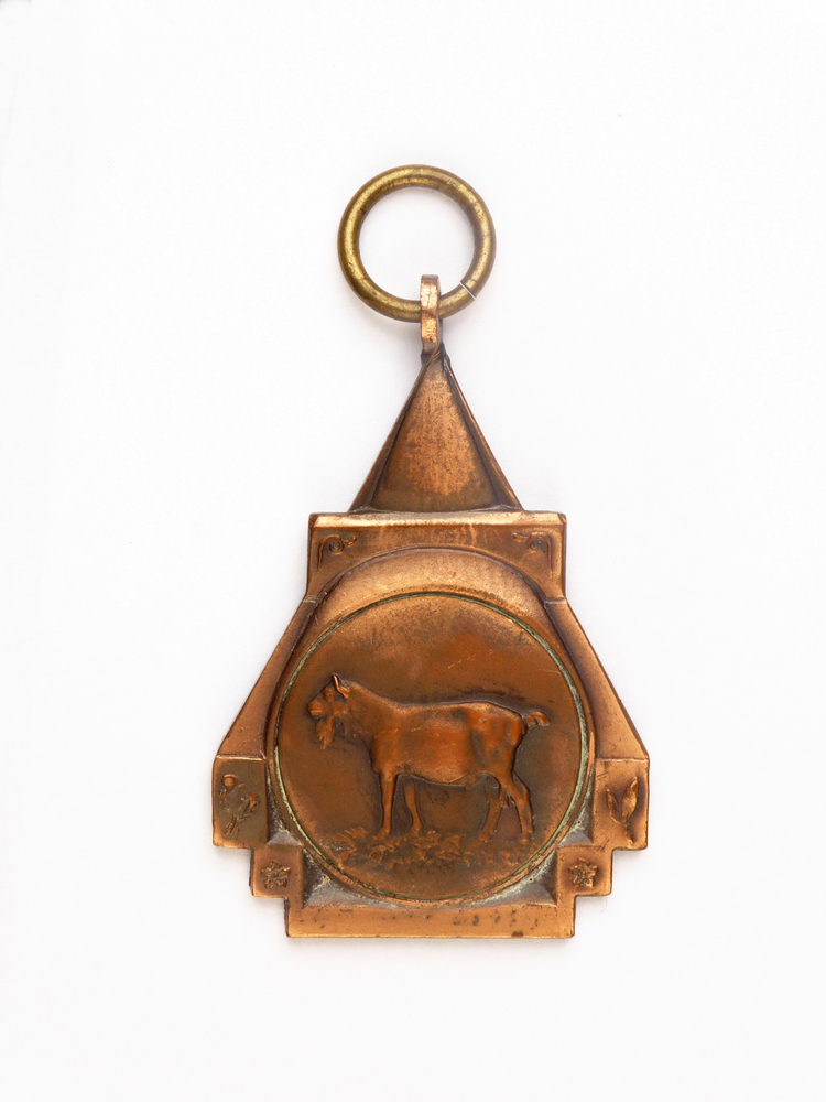 koperkleurige driehoekige medaille met op voorkant afbeelding van een geit en op achterkant inscriptie Prov keuring loppersum 53 3e pr Bokl nr 5656 H Dijkstra