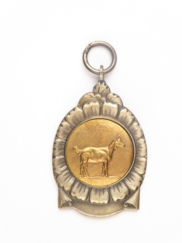 elipsvormige zilveren medaille met op voorkant in koperkleurige cirkel afbeelding van een geit, op achterkant inscriptie 1954 1 A pr S 887