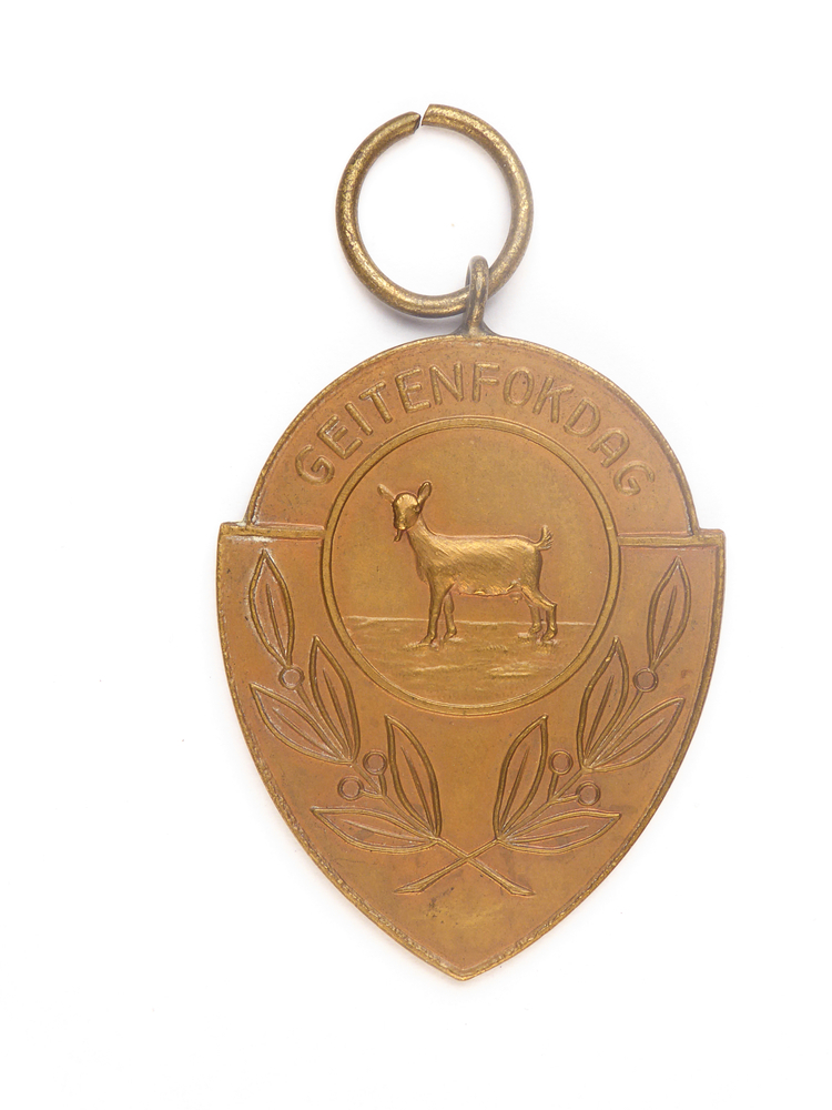 elipsvormige koperkleurige medaille met afbeelding van een geit en inscriptie geitenfokdag, op achterkant inscriptie 3 C A 778 H Dijkstra 8-7-55