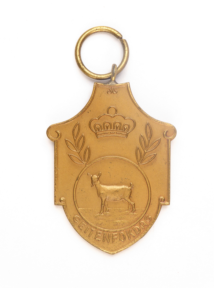 schildvormige koperkleurige medaille met op voorkant afbeelding van een geit en een kroon en bladmotieven en inscriptie geitenfokdag, op achterkant inscriptie 3 A Afd Veendam 8-7-55