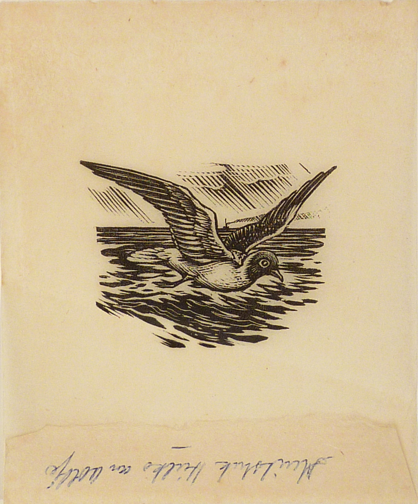 vogel boven zee , uit Hielko van Oaltje